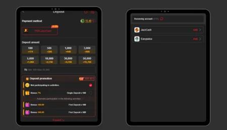 Fly 33 game deposit and withdraw process and options.