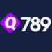 q789 game